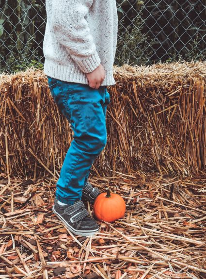Our Fall Bucket List