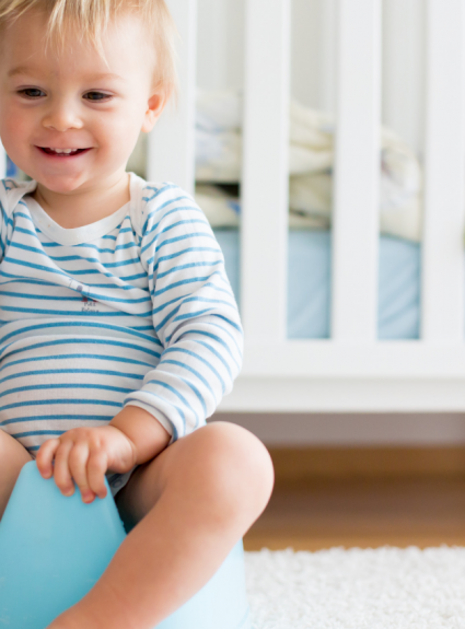 Potty Training In 3 Days + FREE Printable Potty Chart