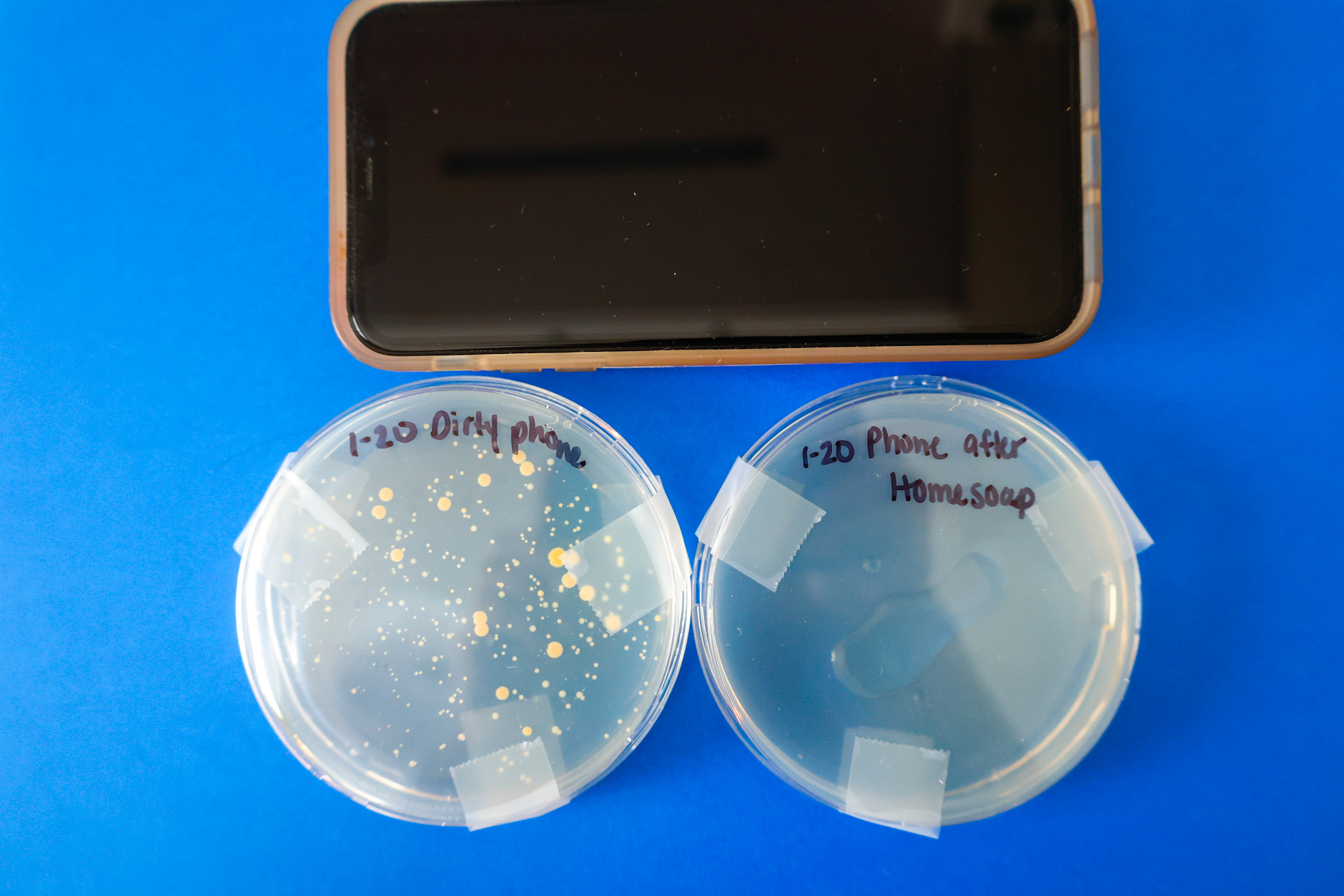 Does The HomeSoap Really Work? (An Honest, Non-Sponsored Review)