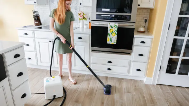 Dupray Neat Steam Cleaner &ndash; My Honest Review