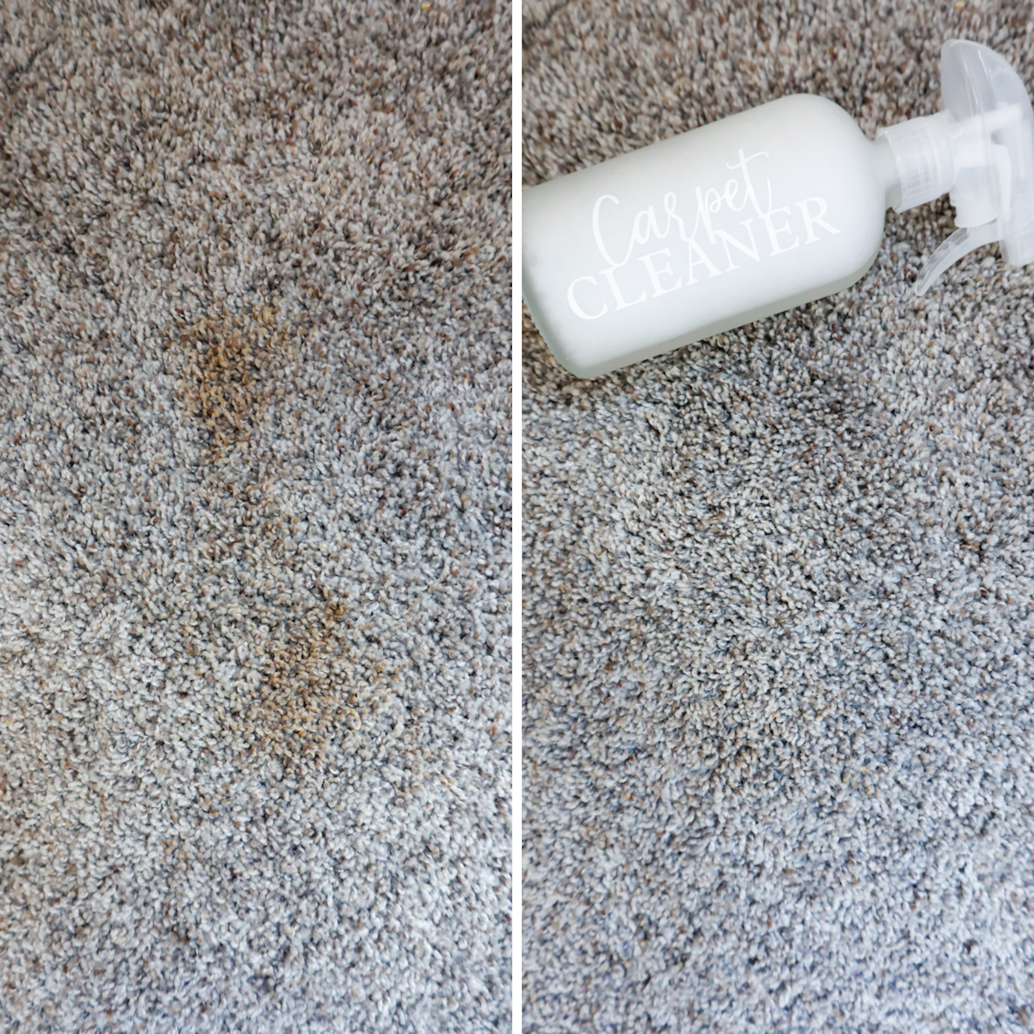 Homemade Carpet Cleaner Solution (How To Spot Clean Carpet)